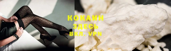 соль ск Козловка
