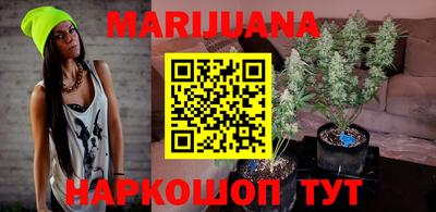 spice Краснодар